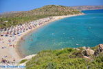 JustGreece.com Vai Crete | Lassithi Crete | Greece  Photo 15 - Foto van JustGreece.com