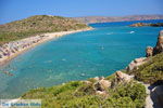 Vai Crete | Lassithi Crete | Greece  Photo 16 - Photo JustGreece.com