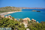 Vai Crete | Lassithi Crete | Greece  Photo 25 - Photo JustGreece.com
