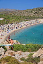 Vai Crete | Lassithi Crete | Greece  Photo 27 - Photo JustGreece.com
