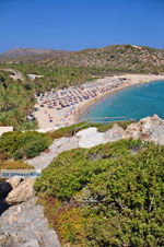 Vai Crete | Lassithi Crete | Greece  Photo 30 - Photo JustGreece.com