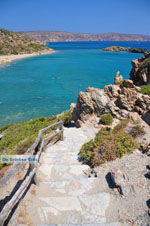 Vai Crete | Lassithi Crete | Greece  Photo 35 - Photo JustGreece.com