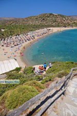 Vai Crete | Lassithi Crete | Greece  Photo 36 - Photo JustGreece.com
