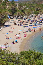 Vai Crete | Lassithi Crete | Greece  Photo 37 - Photo JustGreece.com