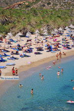 JustGreece.com Vai Crete | Lassithi Crete | Greece  Photo 38 - Foto van JustGreece.com