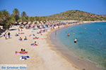 JustGreece.com Vai Crete | Lassithi Crete | Greece  Photo 40 - Foto van JustGreece.com