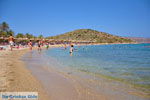 Vai Crete | Lassithi Crete | Greece  Photo 43 - Photo JustGreece.com