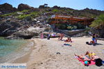 Vai Crete | Lassithi Crete | Greece  Photo 47 - Photo JustGreece.com