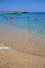 Vai Crete | Lassithi Crete | Greece  Photo 50 - Photo JustGreece.com