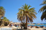 JustGreece.com Vai Crete | Lassithi Crete | Greece  Photo 60 - Foto van JustGreece.com