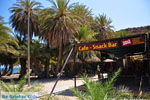 Vai Crete | Lassithi Crete | Greece  Photo 62 - Photo JustGreece.com