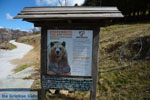 Arktouros protection of wild animals | Florina | Macedonia - Photo JustGreece.com