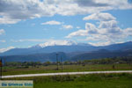 JustGreece.com Beautiful nature on the road from Amindeo to Florina town | Macedonia Photo 1 - Foto van JustGreece.com