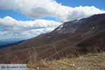 On the way to Florina town to the ski resort  Vigla near Pisoderi | Macedonia Photo 5 - Photo JustGreece.com