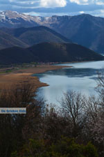 Prespes Lakes | Florina Macedonia | Greece Photo 33 - Photo JustGreece.com