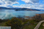 JustGreece.com Prespes Lakes | Florina Macedonia | Greece Photo 41 - Foto van JustGreece.com