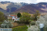 JustGreece.com Village Laimos near Prespes | Florina Macedonia | Photo 1 - Foto van JustGreece.com