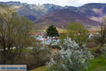 Village Laimos near Prespes | Florina Macedonia | Photo 2 - Photo JustGreece.com