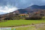 On the way to Prespes in Florina to Kastoria | Macedonia Greece Photo 2 - Photo JustGreece.com