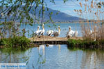 Kastoria | Macedonia Greece | Photo 27 - Photo JustGreece.com