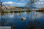 Kastoria | Macedonia Greece | Photo 31 - Photo JustGreece.com