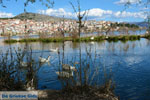 Kastoria | Macedonia Greece | Photo 32 - Photo JustGreece.com
