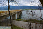 Polifitos-lake Kozani | Macedonia Greece | Greece  Photo 7 - Photo JustGreece.com
