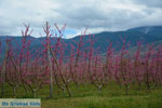 JustGreece.com Velvendo  | Kozani Macedonia | Greece  Photo 1 - Foto van JustGreece.com