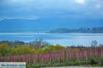 Polifitos-lake Kozani | Macedonia Greece | Greece  Photo 10 - Photo JustGreece.com