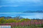 Polifitos-lake Kozani | Macedonia Greece | Greece  Photo 11 - Photo JustGreece.com