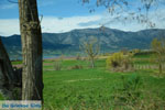 Polifitos-lake Kozani | Macedonia Greece | Greece  Photo 13 - Photo JustGreece.com