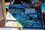 Zakros and Kato Zakros - Crete - Greece  56 - Photo JustGreece.com