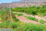 Zakros and Kato Zakros - Crete - Greece  68 - Photo JustGreece.com