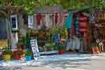 Anafonitria Zakynthos - Ionian Islands -  Photo 13 - Photo JustGreece.com