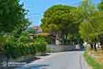 Lithakia Zakynthos - Ionian Islands -  Photo 2 - Photo JustGreece.com