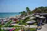 Porto Zorro Vassilikos Zakynthos - Ionian Islands -  Photo 7 - Photo JustGreece.com