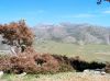 Ida Plateau Crete - Photo JustGreece.com