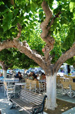 JustGreece.com Karystos Euboea | Greece | Photo 11 - Foto van JustGreece.com
