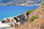JustGreece.com Golden beach | Marmari Euboea | Greece Photo 2 - Foto van JustGreece.com
