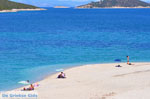 JustGreece.com Golden beach | Marmari Euboea | Greece Photo 6 - Foto van JustGreece.com