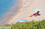 Golden beach | Marmari Euboea | Greece Photo 7 - Photo JustGreece.com