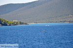 Marmari Euboea | Greece | Photo 13 - Photo JustGreece.com
