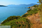 beach Zastani | Marmari Euboea | Greece | Photo 14 - Photo JustGreece.com