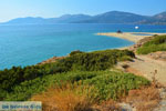 Golden beach Euboea | Marmari Euboea | Greece Photo 13 - Photo JustGreece.com