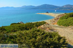 Golden beach Euboea | Marmari Euboea | Greece Photo 14 - Photo JustGreece.com