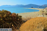 Golden beach Euboea | Marmari Euboea | Greece Photo 15 - Photo JustGreece.com
