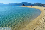 Golden beach Euboea | Marmari Euboea | Greece Photo 16 - Photo JustGreece.com