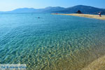 JustGreece.com Golden beach Euboea | Marmari Euboea | Greece Photo 17 - Foto van JustGreece.com