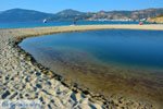 Golden beach Euboea | Marmari Euboea | Greece Photo 19 - Photo JustGreece.com
