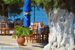 Marmari Euboea | Greece | Photo 15 - Photo JustGreece.com